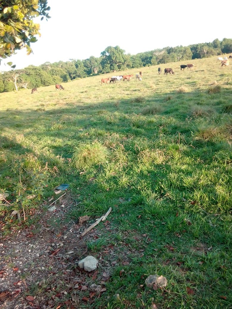Land for Sale in Río San Juan - Photo 2