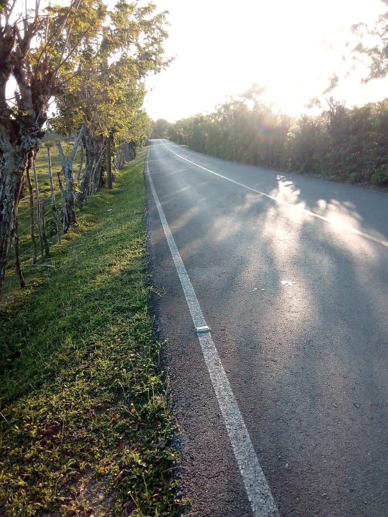 Land for Sale in Río San Juan - Photo 3