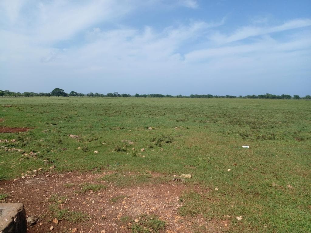 Beachfront Land for Sale in Miches - Photo 3