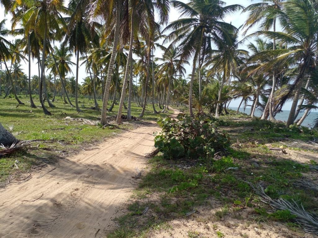 Beachfront Land for Sale in Miches - Photo 4