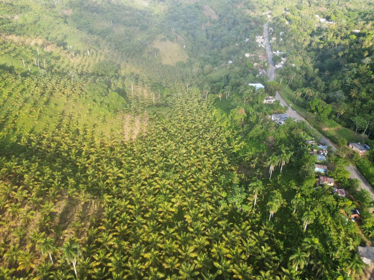 Land for Sale in Samaná - Photo 3